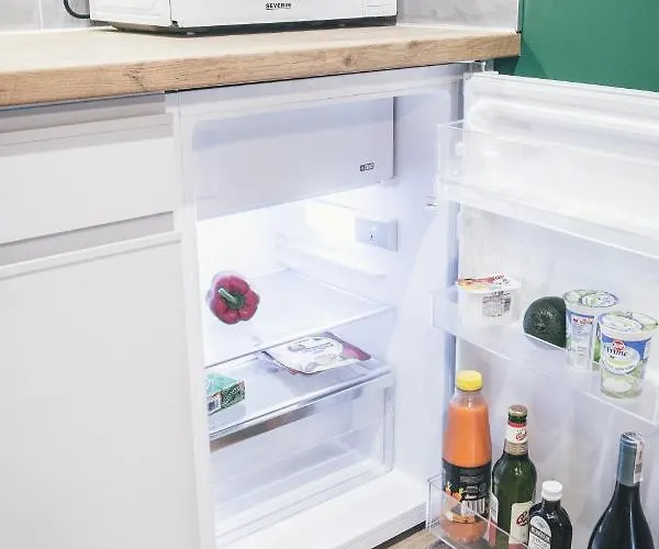 Luxurious Center Apartment *