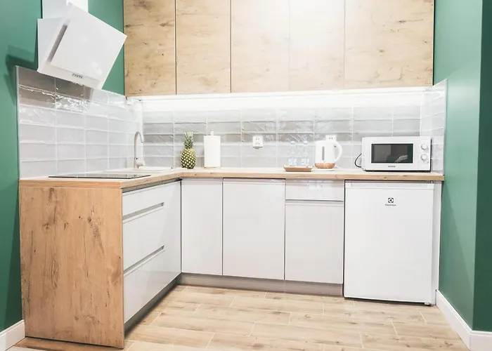 Apartment Luxurious Center *